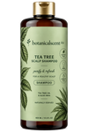 Tea Tree & Aloe Scalp Shampoo
